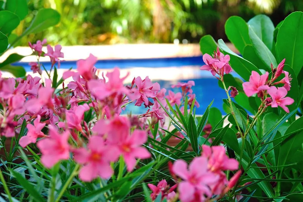 La Pasion Colonial Hotel Boutique By Bunik Playa del Carmen Mexique