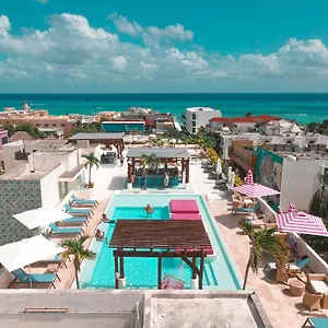 The Palm (adults Only) 4*, Playa del Carmen Mexique